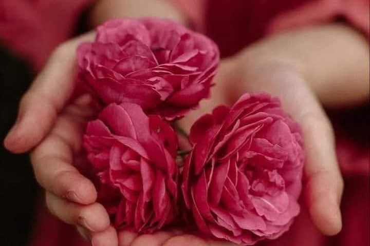 🌺🌺Le temps d'une Pause🌺🌺